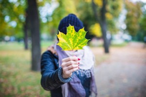 What we learn from the Fall season