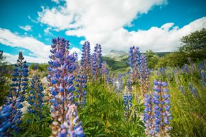 writing a vision statement