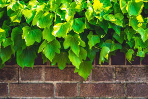 managing project changes